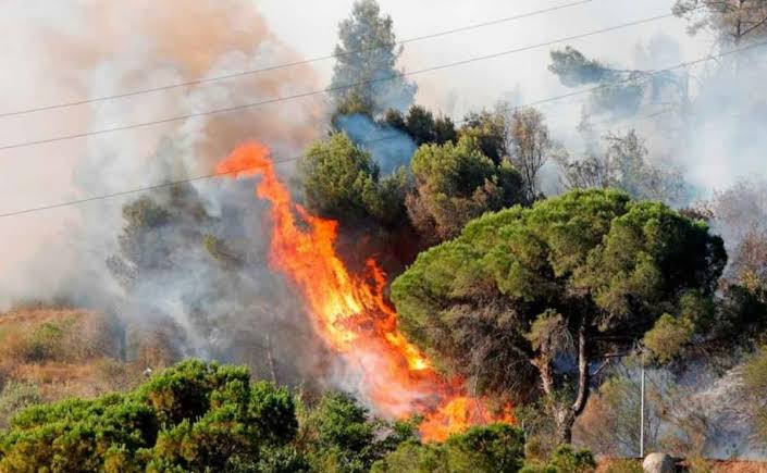 Incendios forestales en España este 28 de julio: 65.000 evacuados y el debate sobre prevención vuelve